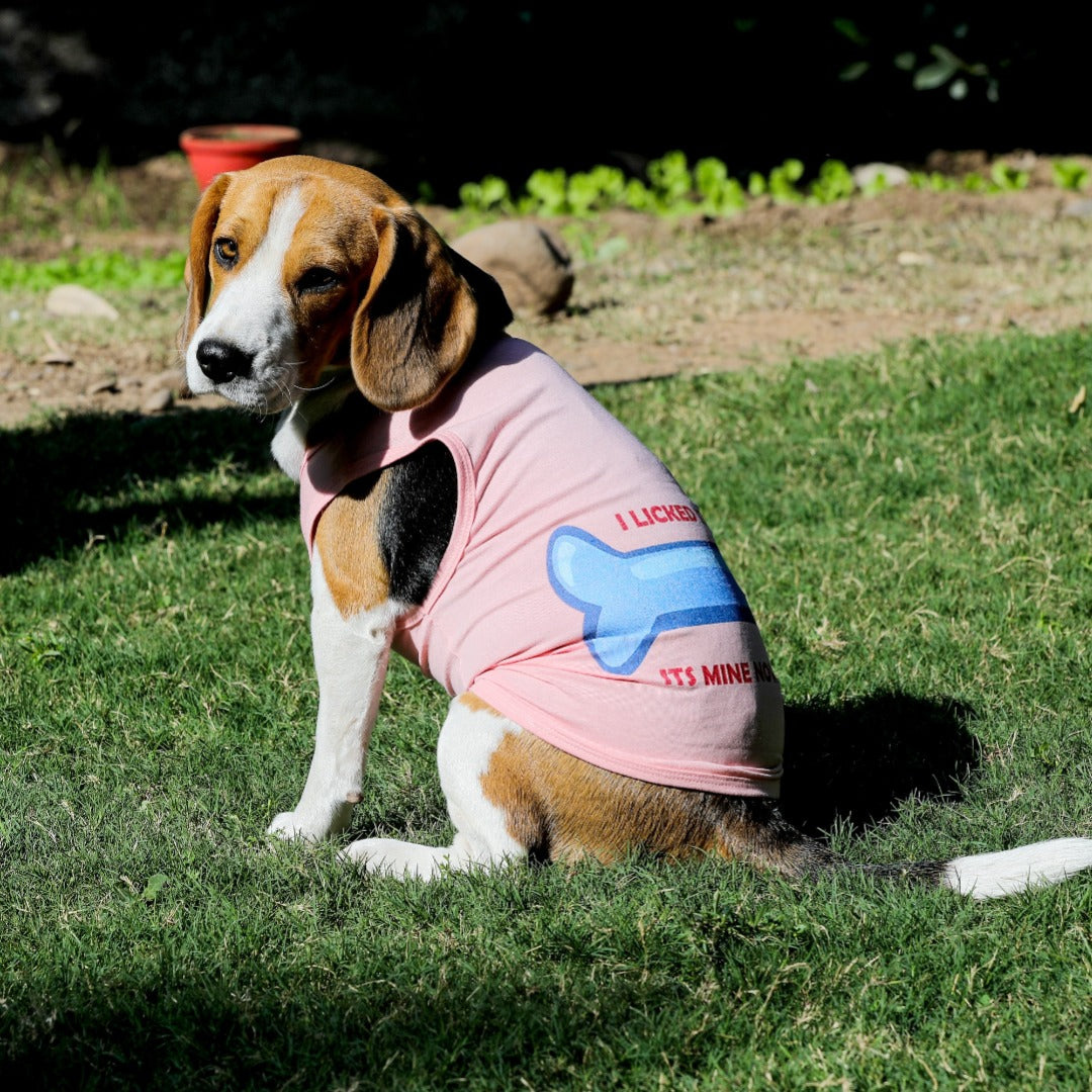 Dogs shop shirts online