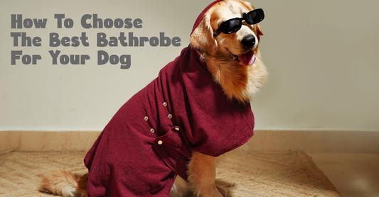 How to Choose the Best Bathrobe for Your Dog