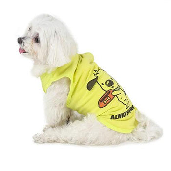 dog wearing lime green-coloured sleeveless tshirt for dogs designed by Barks & Wags