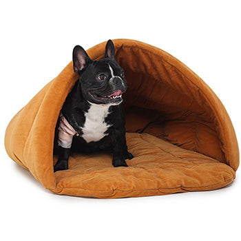 tent shaped beds for dogs