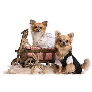 wedding outfits for dogs from Barks & Wags