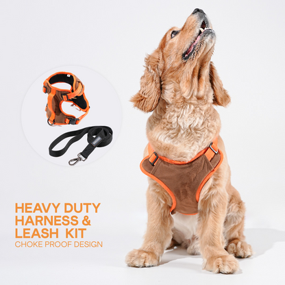 harness & leash