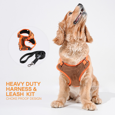 Heavy-duty harness kit for maximum comfort and zero choking- Brown & Orange Velvet