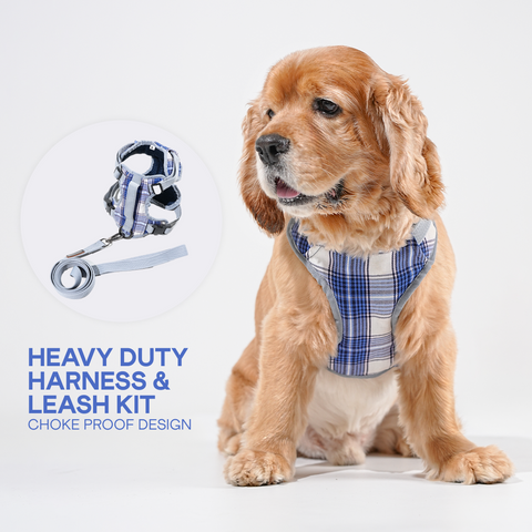 Heavy-duty harness kit for maximum comfort and zero choking- Blue Plaid