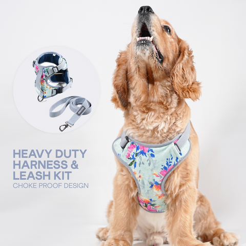 Heavy-duty harness kit for maximum comfort and zero choking- Floral Print Velvet