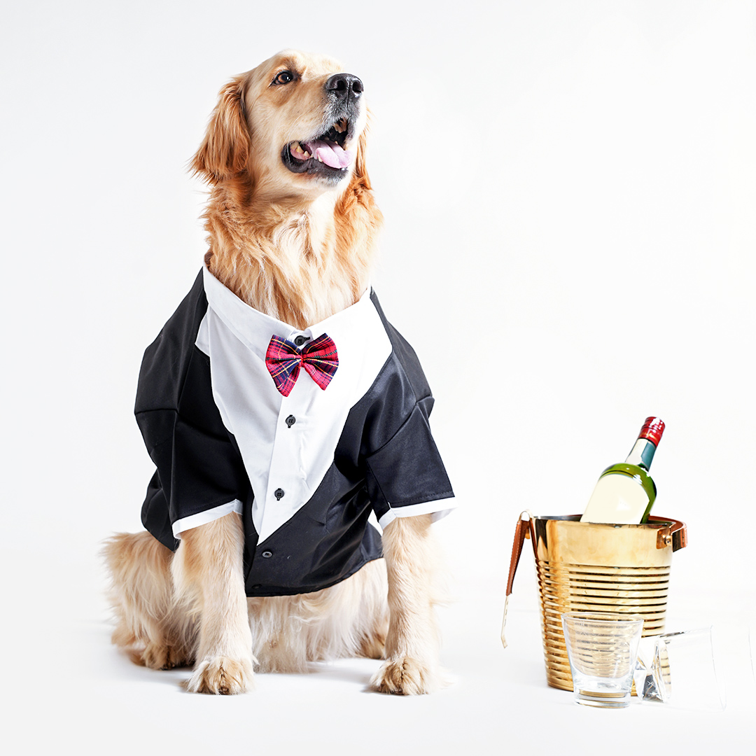 Tuxedos For Dogs - With Red Bow Tie