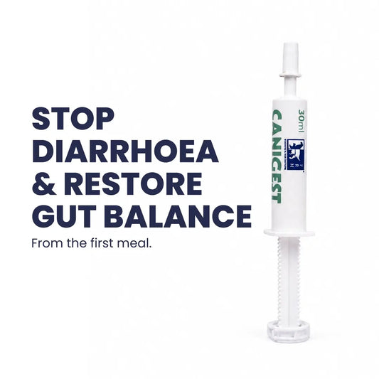 Canigest Digestive Support Paste
