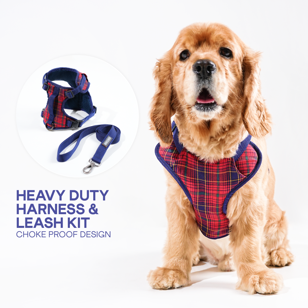 Heavy-duty harness kit for maximum comfort and zero choking- Thermapet Plaid