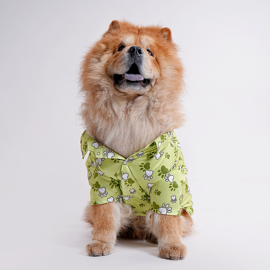 Printed Shirt for Dogs - Mr. Bean Green Paws