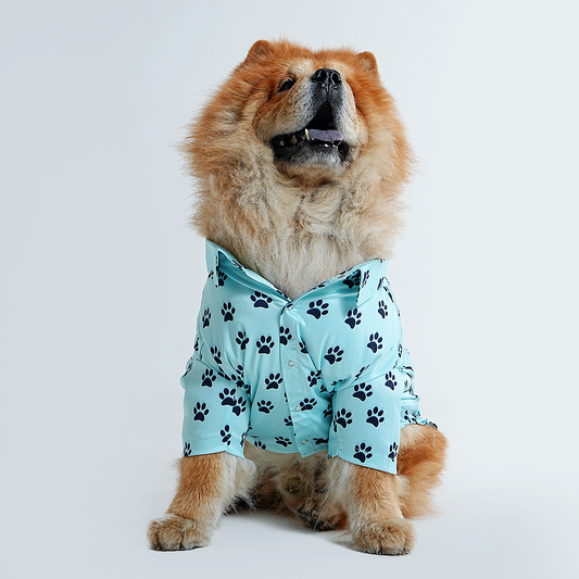 Printed Shirt for Dogs - Blue’s Clues