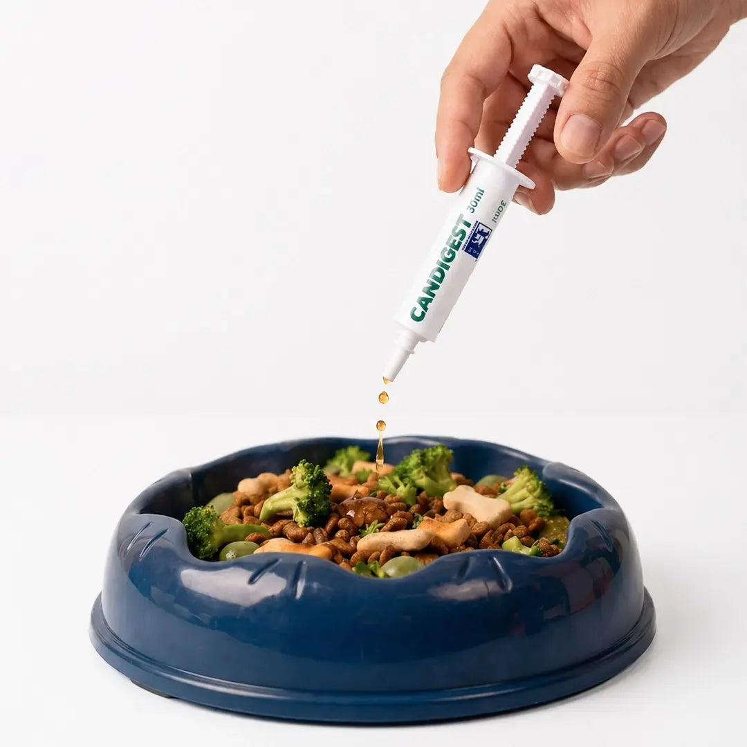 Canigest Digestive Support Paste