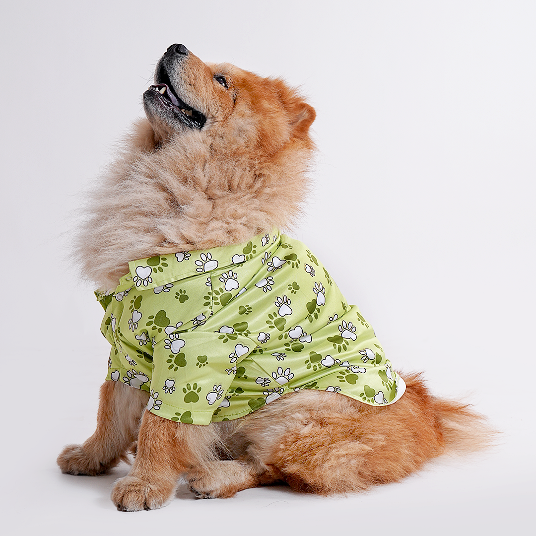 Printed Shirt for Dogs - Mr. Bean Green Paws