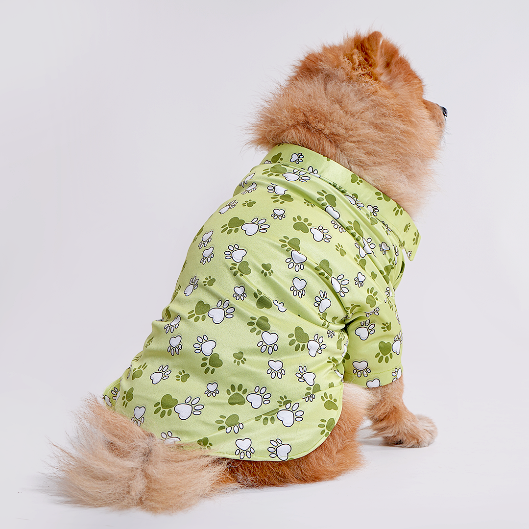 Printed Shirt for Dogs - Mr. Bean Green Paws