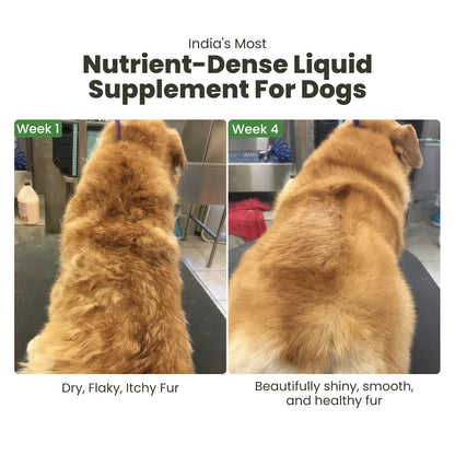 MyBeau Vitamin & Mineral Oil