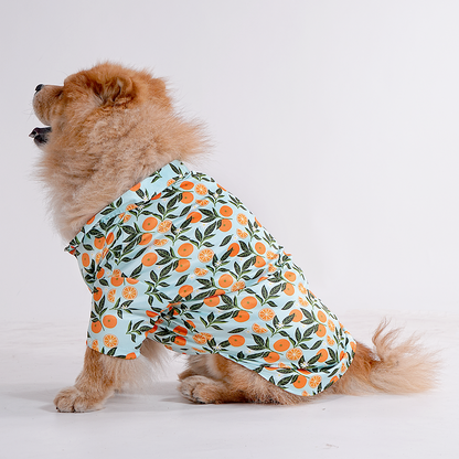 Printed Shirt for Dogs - Citrus Sky