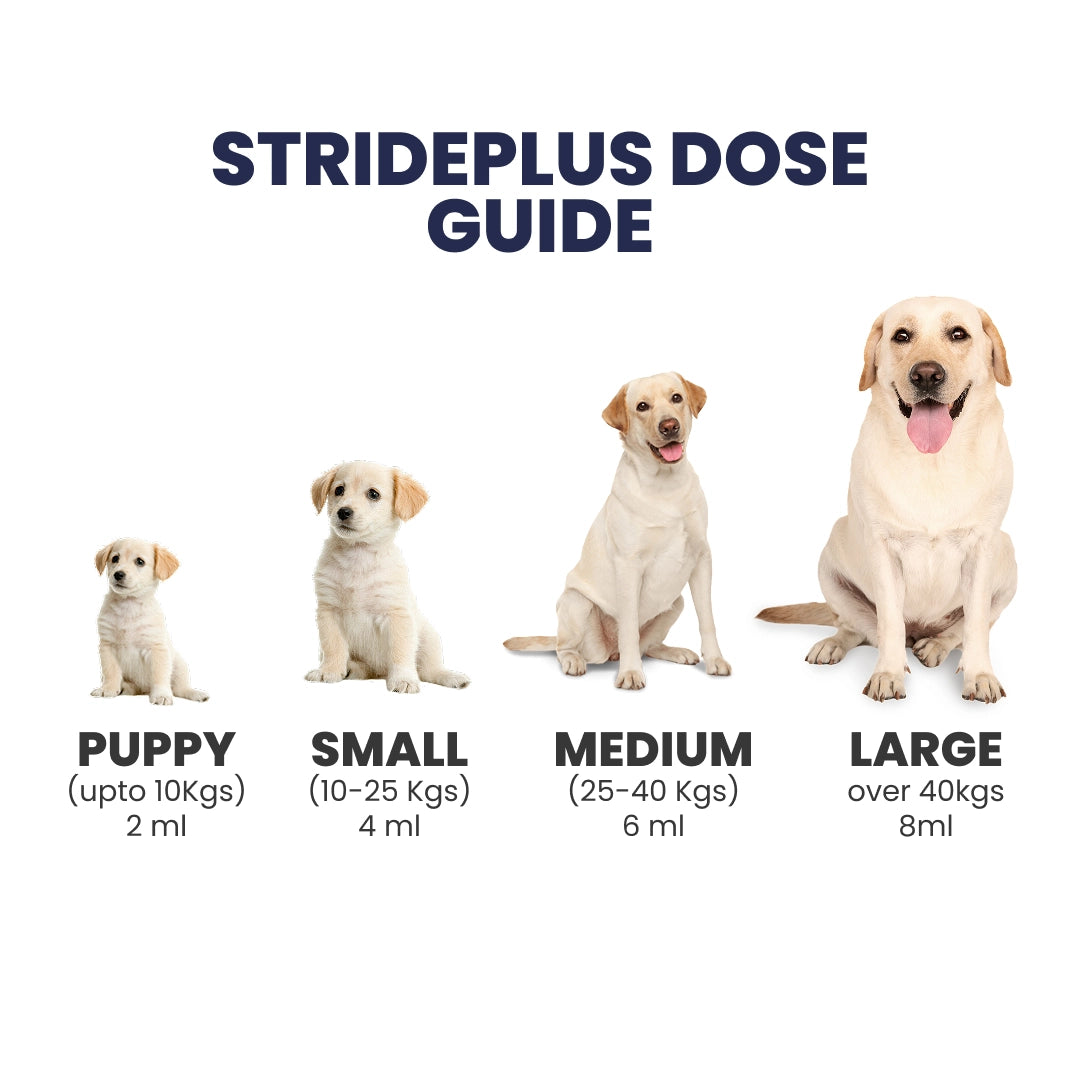 StridePlus Joint Support Liquid