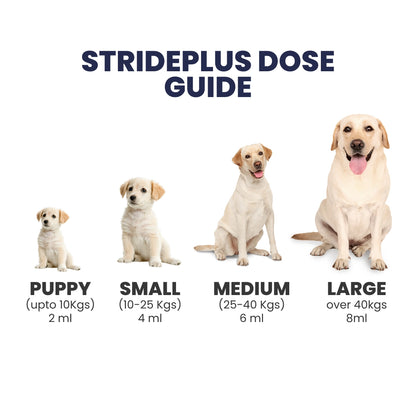 StridePlus Joint Support Liquid