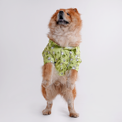 Printed Shirt for Dogs - Mr. Bean Green Paws