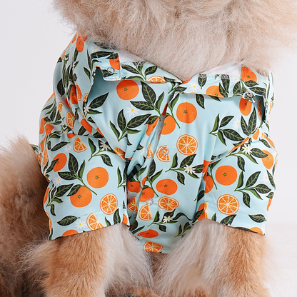 Printed Shirt for Dogs - Citrus Sky