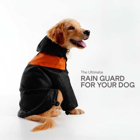 Heavy- Duty Drizzle Defense Dog Raincoat - Black