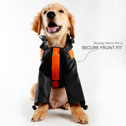 bark and wags raincoat