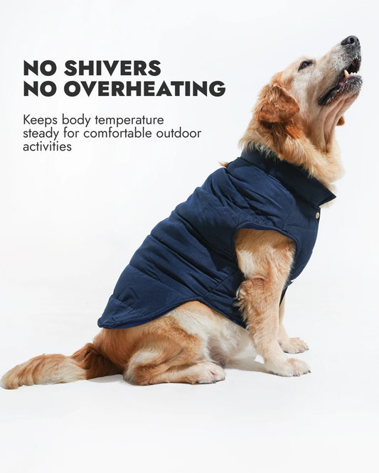 Pawfect Shield Puffer Jacket - Blue