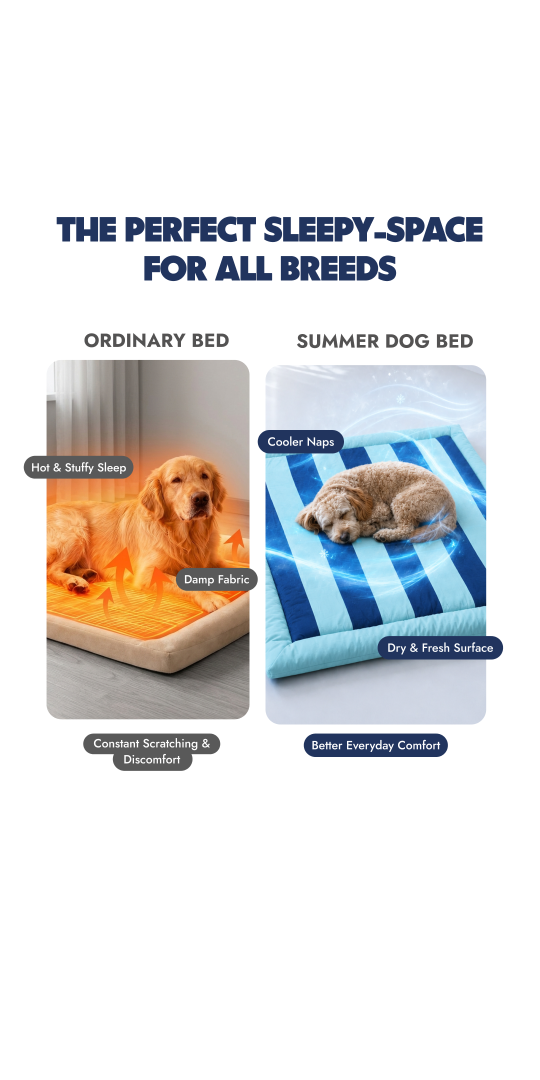 Blueberry Bed