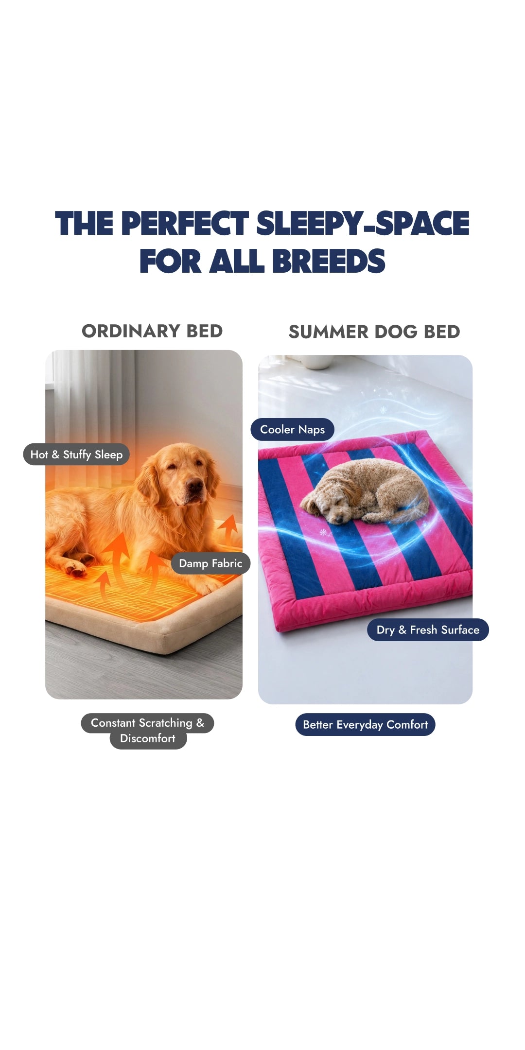 Candy Bed