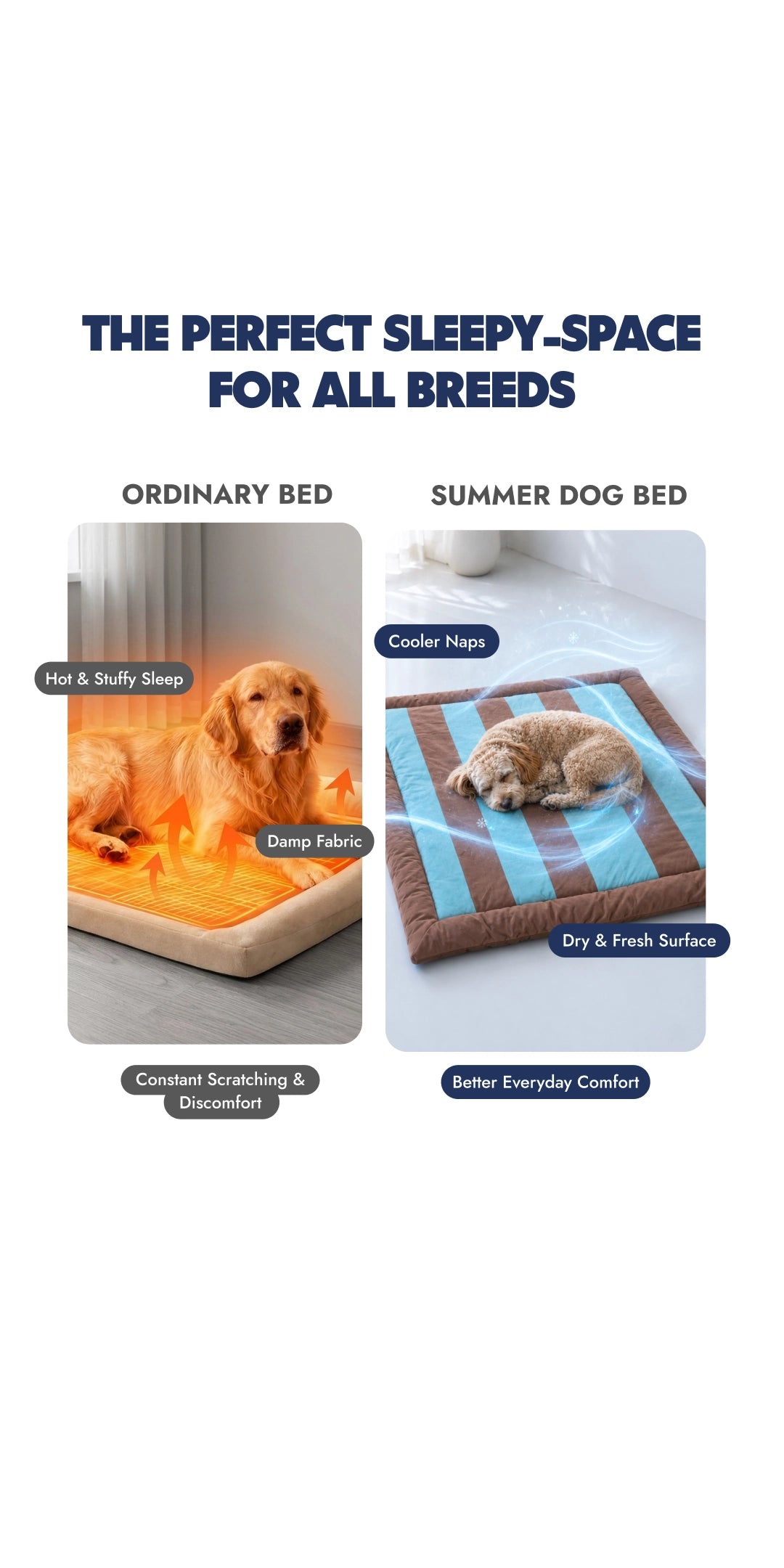 Choco Bed