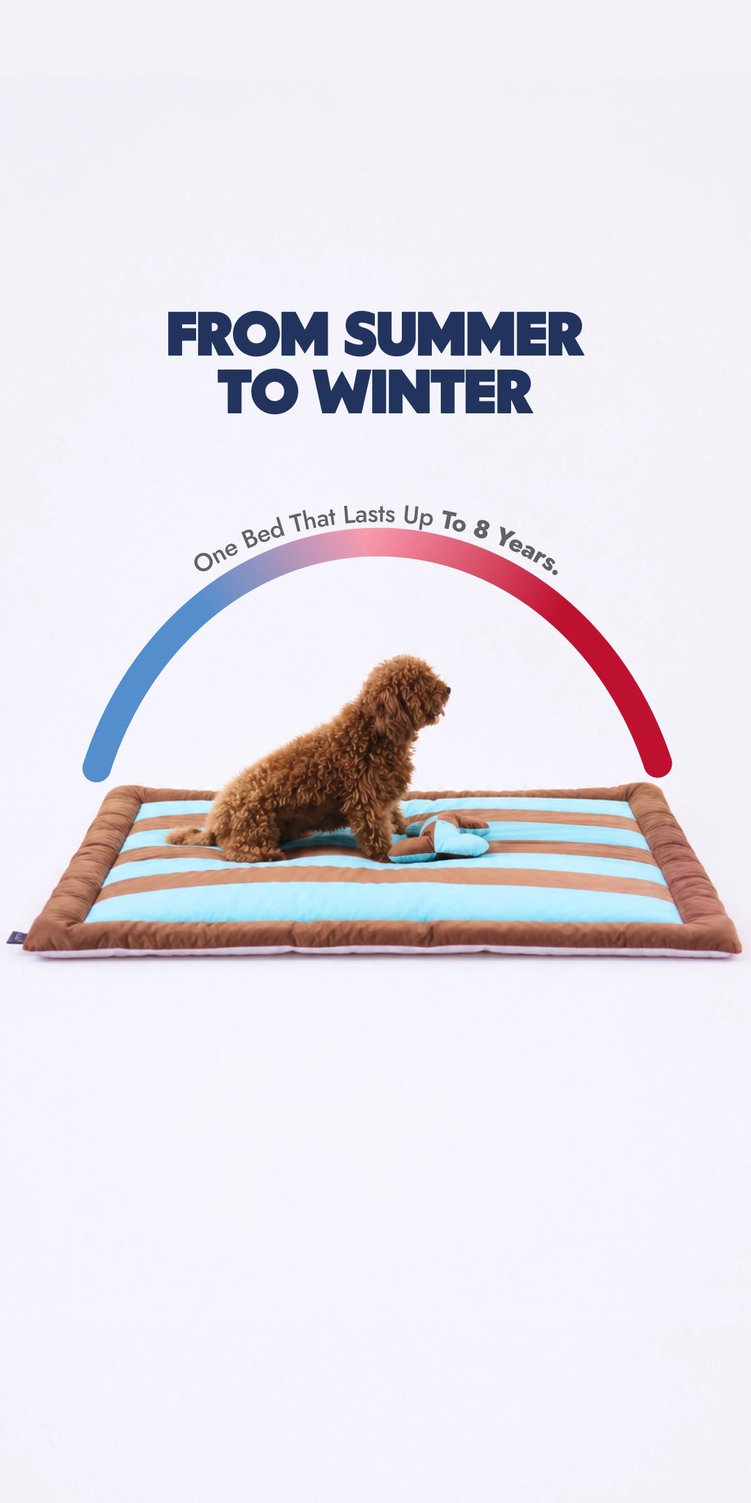 Choco Bed