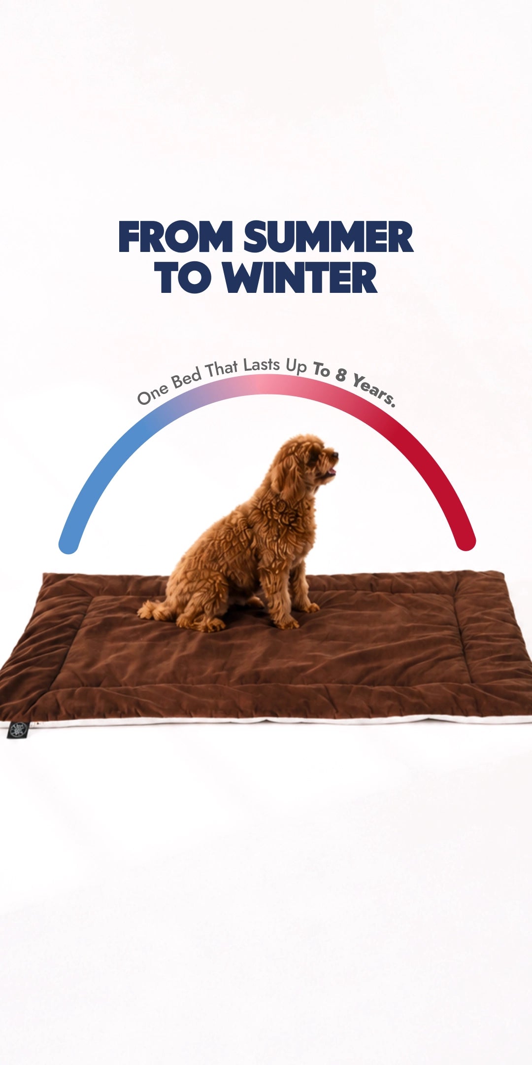 Brown Bed
