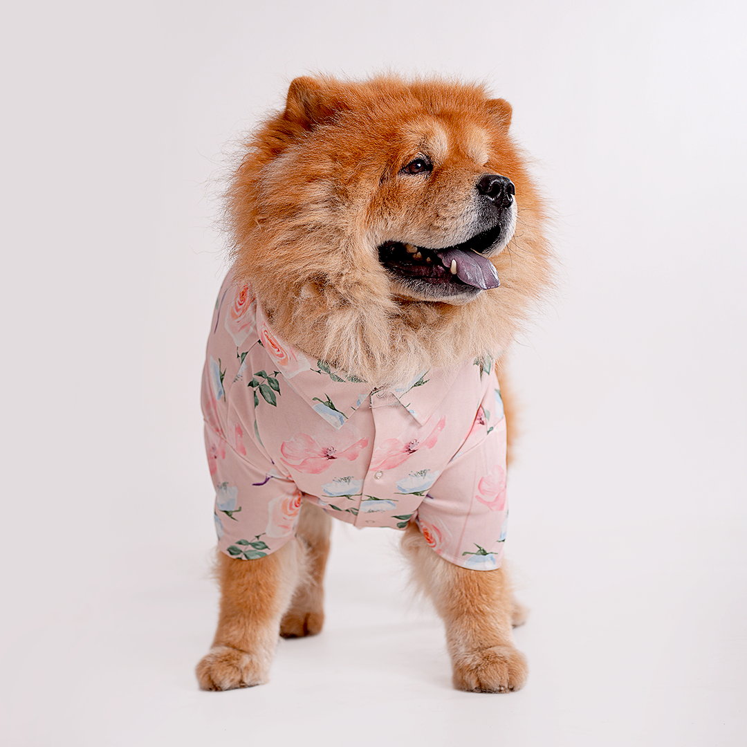 Printed Shirts For Dogs - Baby Pink Floral