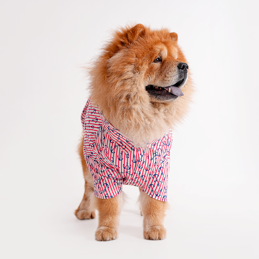 Printed Shirts For Dogs - Maritime Nautical