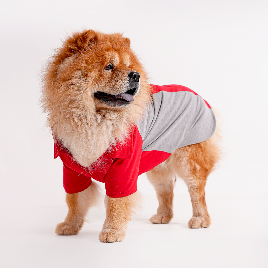 Polo Dog Tshirt (Red & Grey)