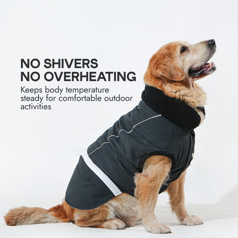 Pawfect Shield Puffer Jacket - Dark Grey