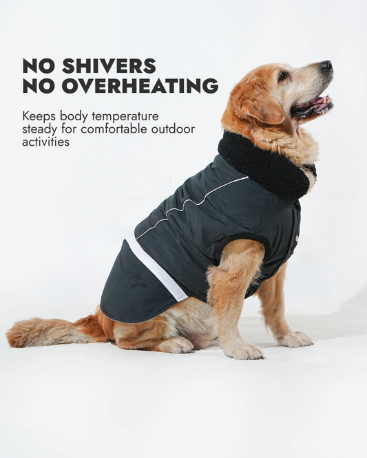 Pawfect Shield Puffer Jacket - Dark Grey