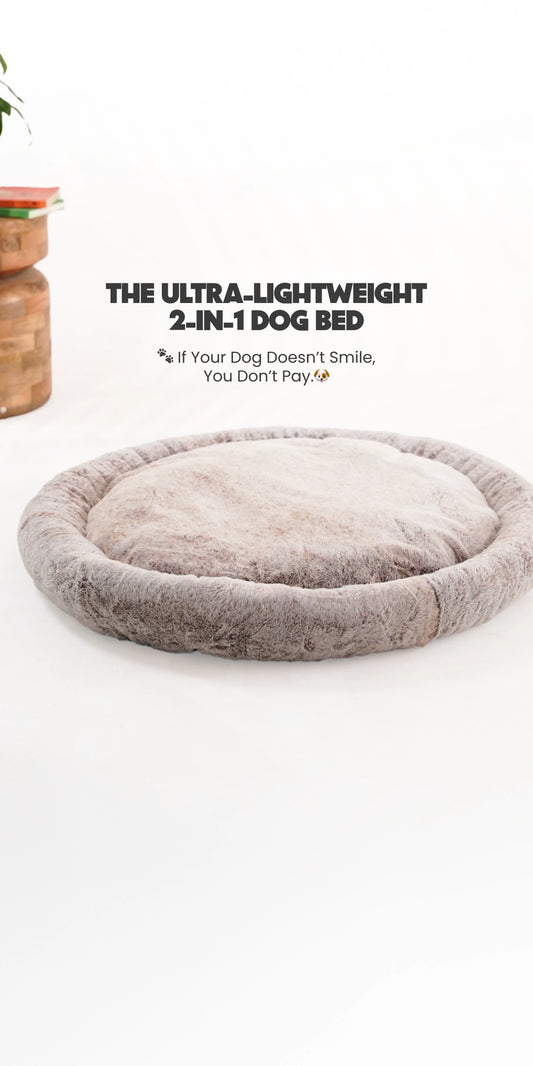 2-In-1 Bed-Dune