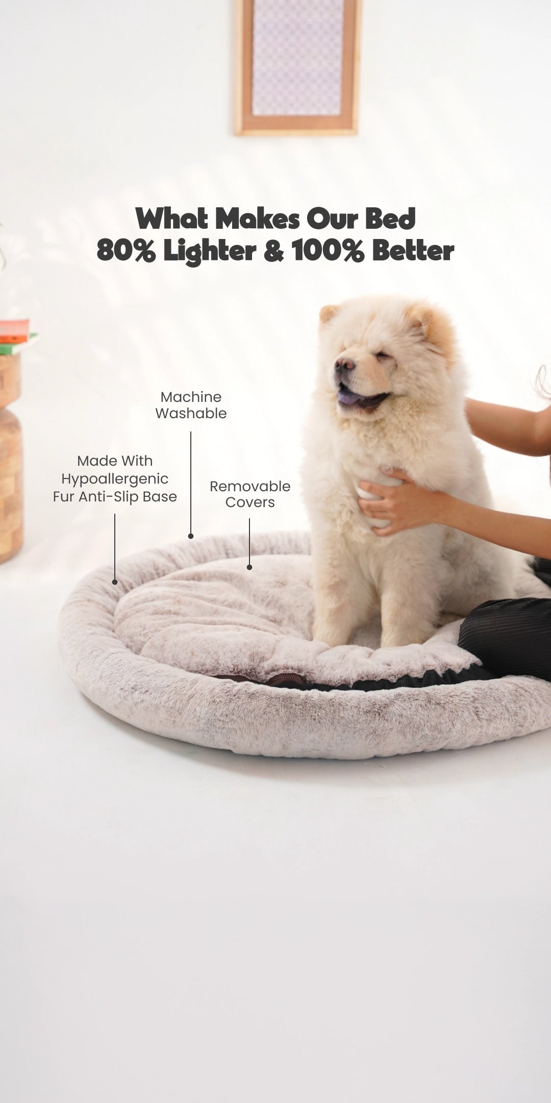 2-In-1 Bed-Dune