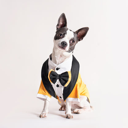 Tuxedos For Dogs - With Black/Yellow Bow Tie