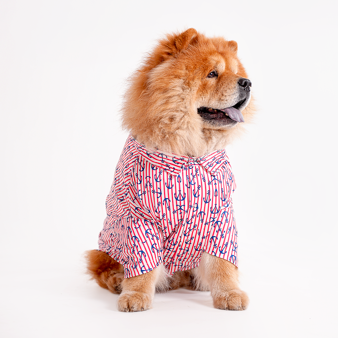 Printed Shirts For Dogs - Maritime Nautical