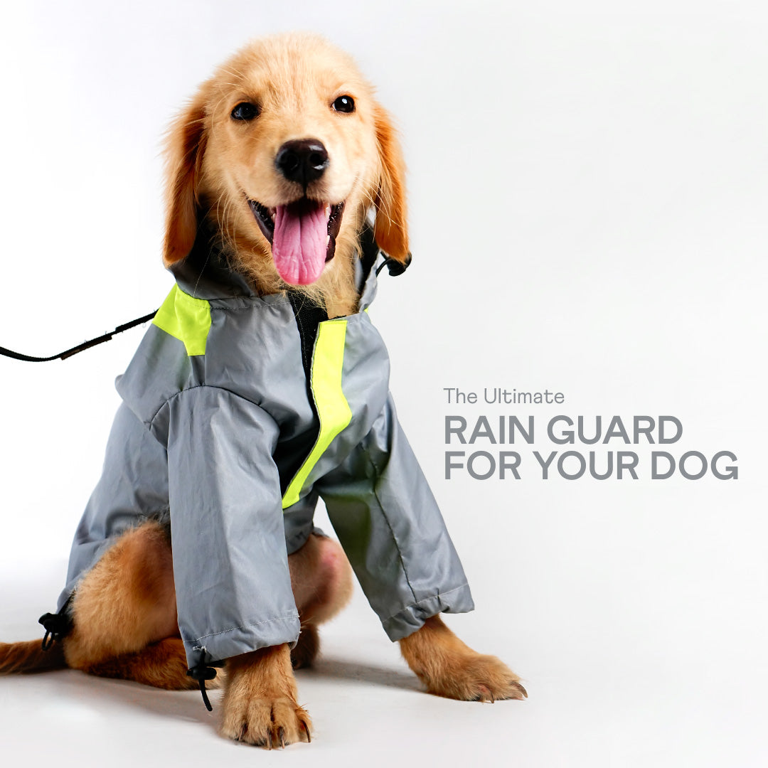 bark and wags raincoat