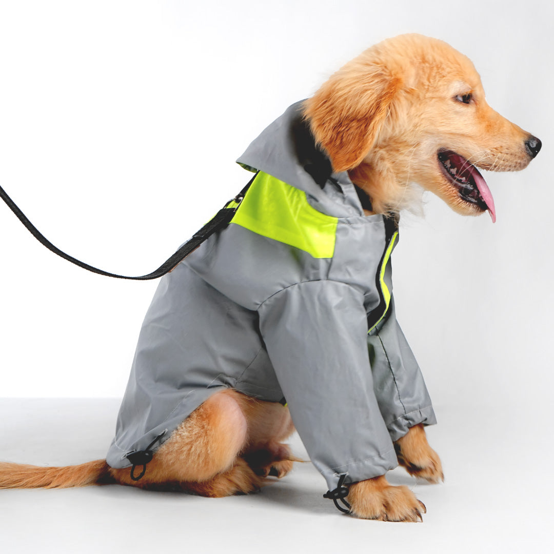 bark and wags raincoat