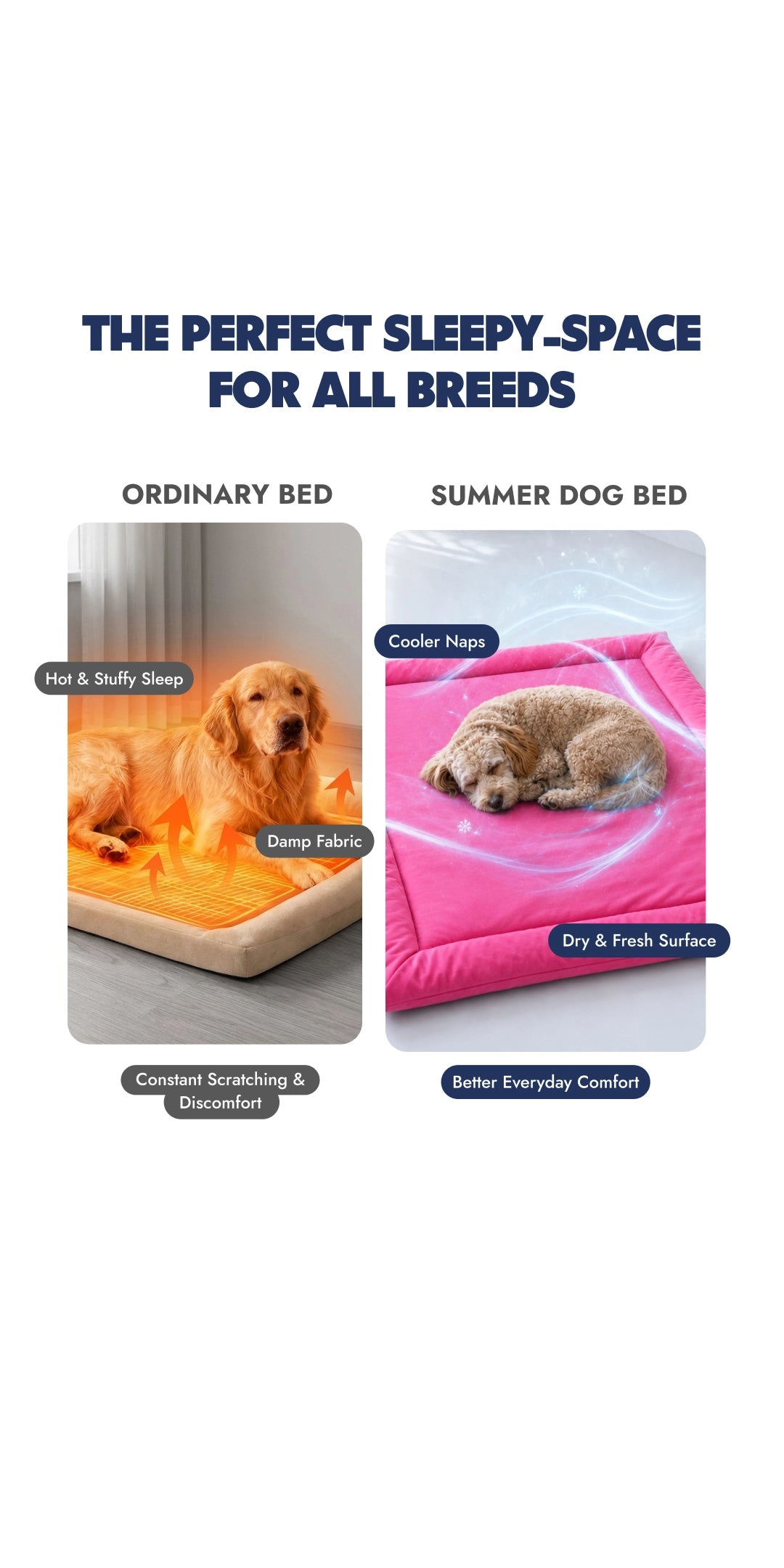 Pink Bed
