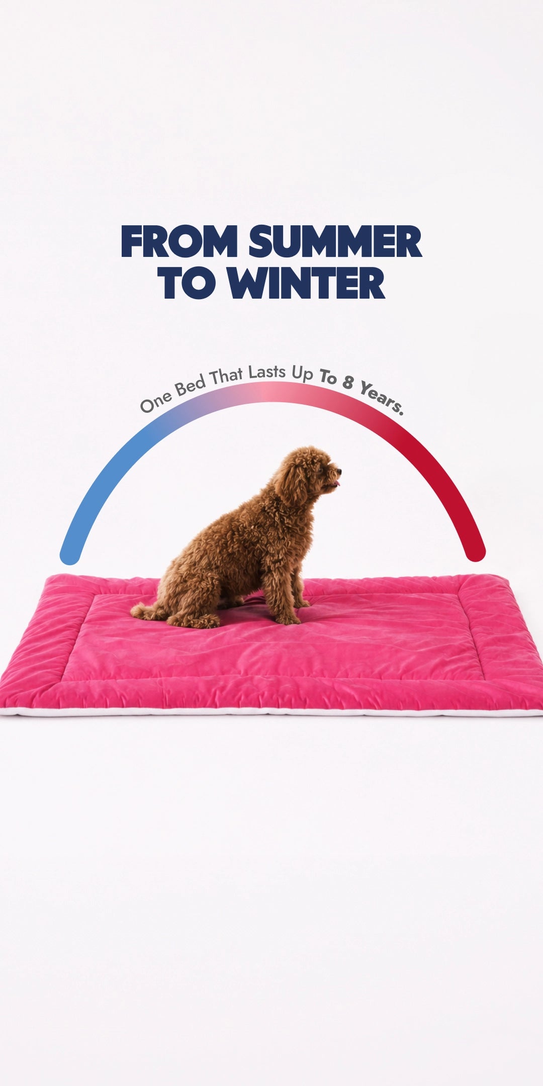 Pink Bed
