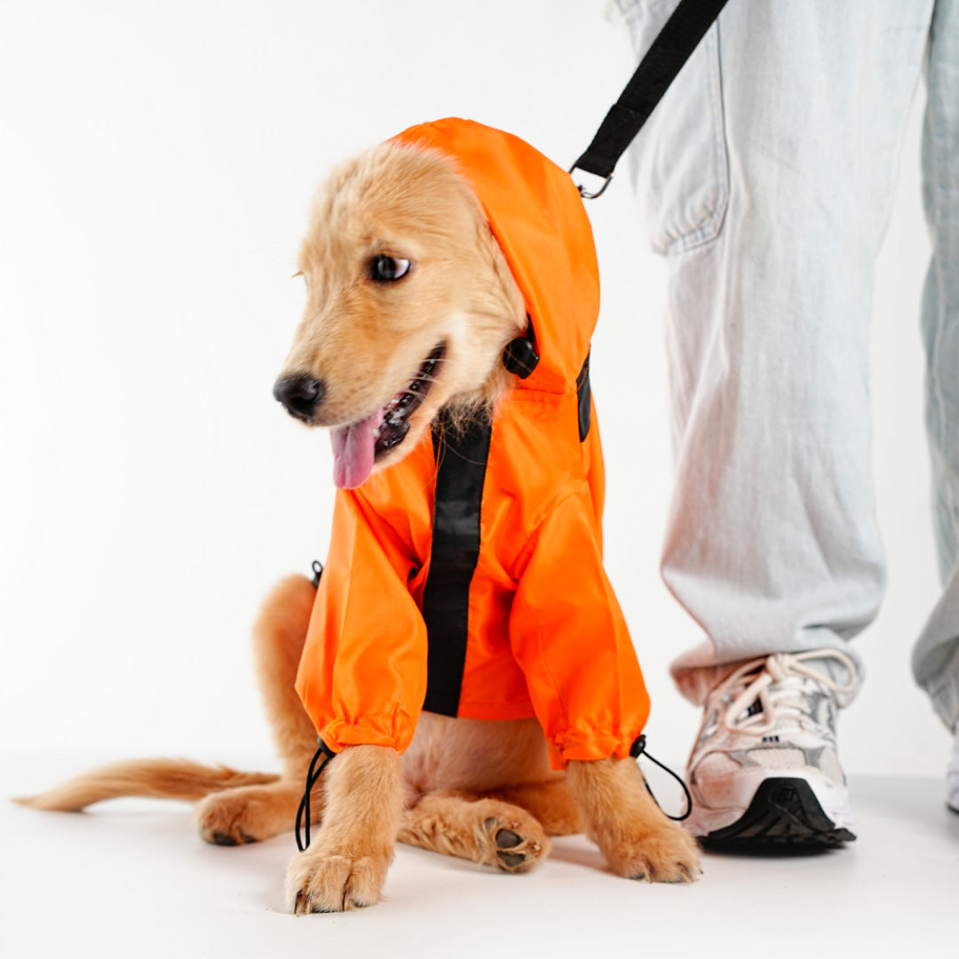 bark and wags raincoat