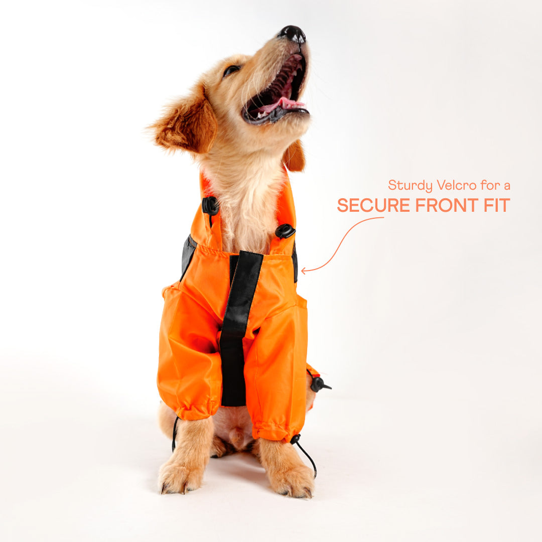 bark and wags raincoat