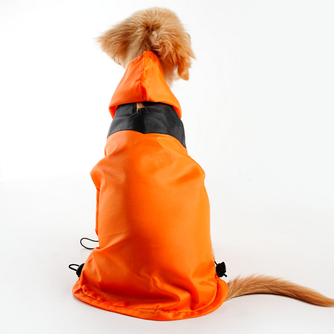 bark and wags raincoat