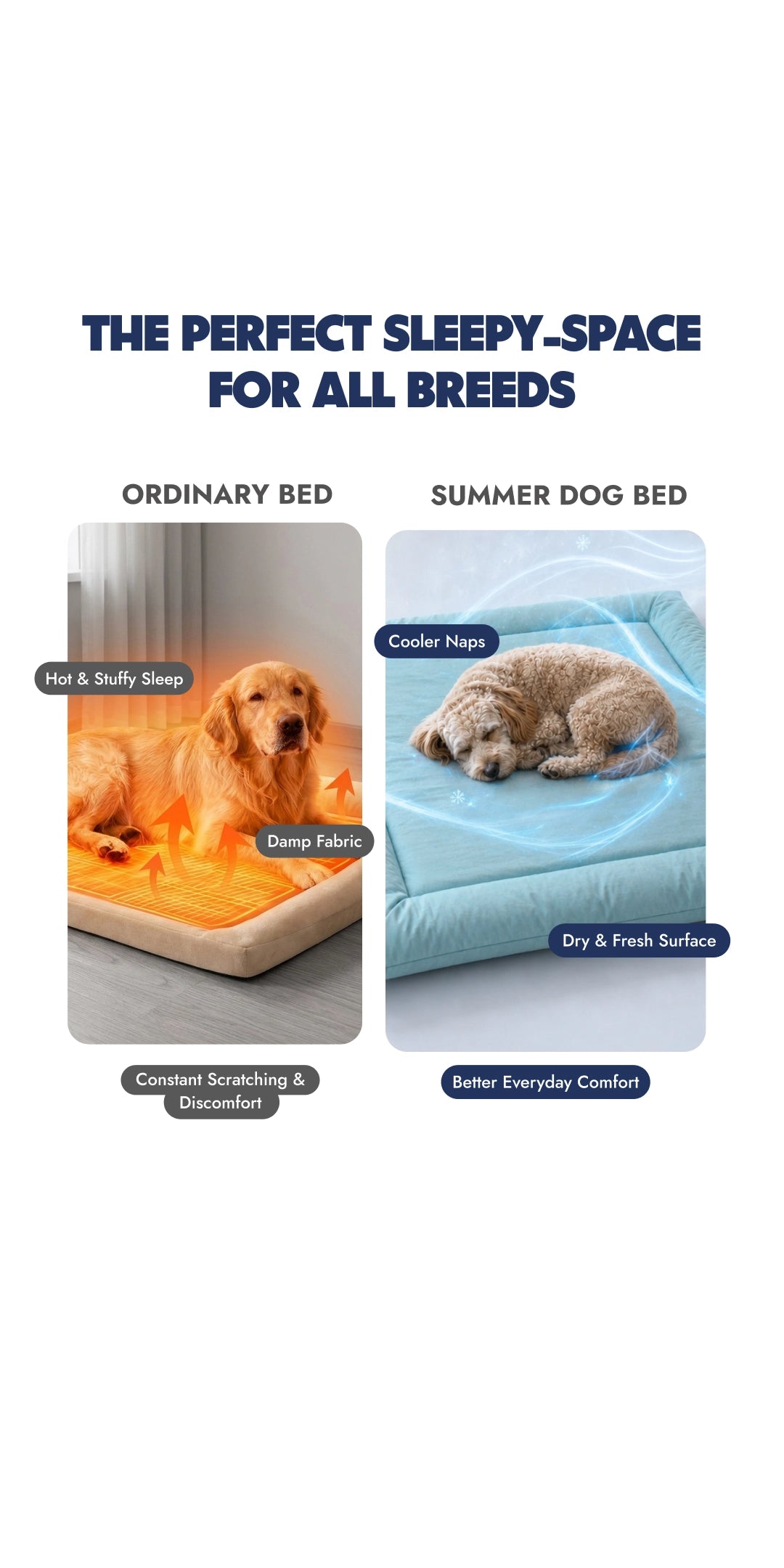 Sky Bed