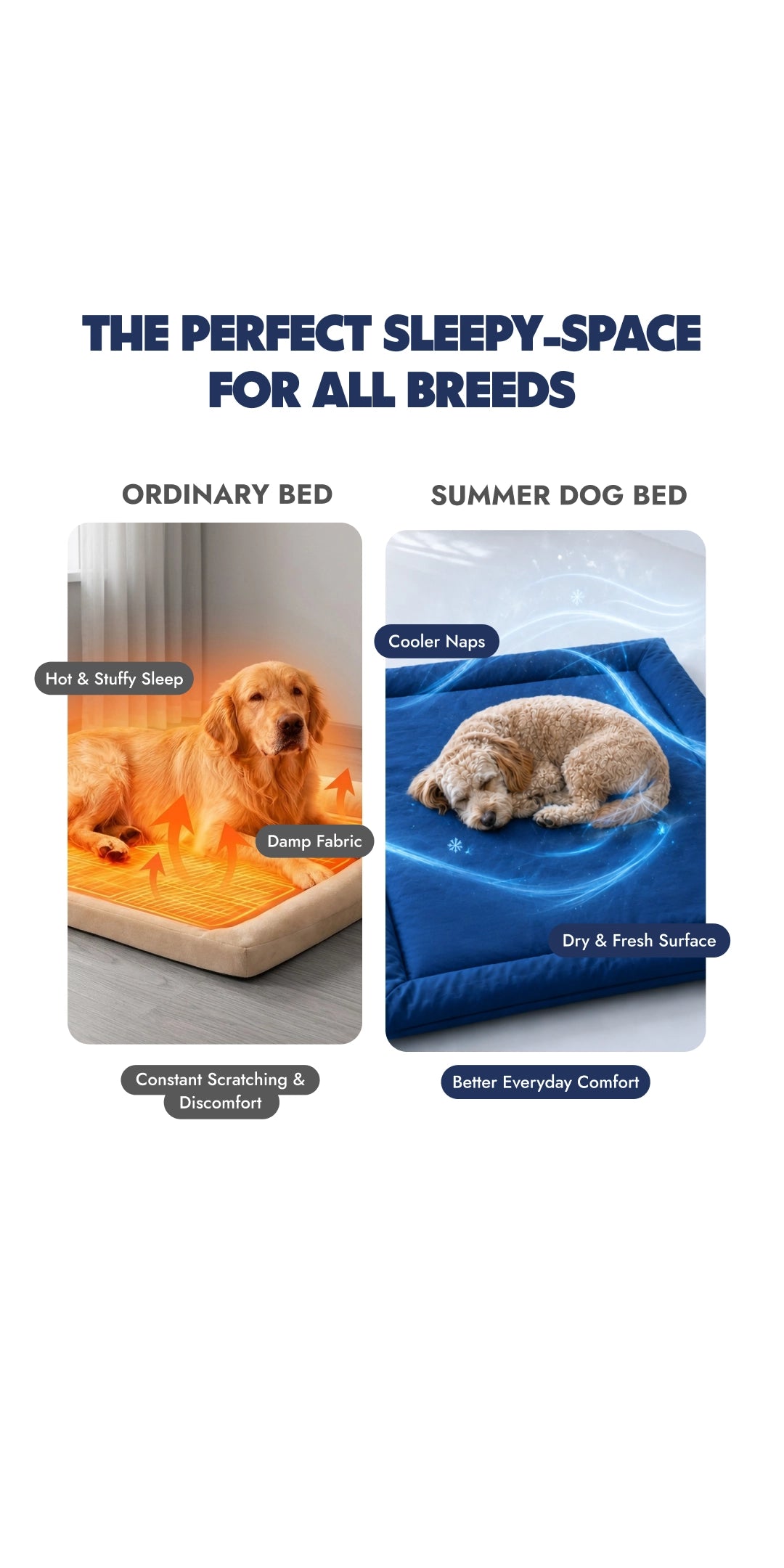 Navy Bed