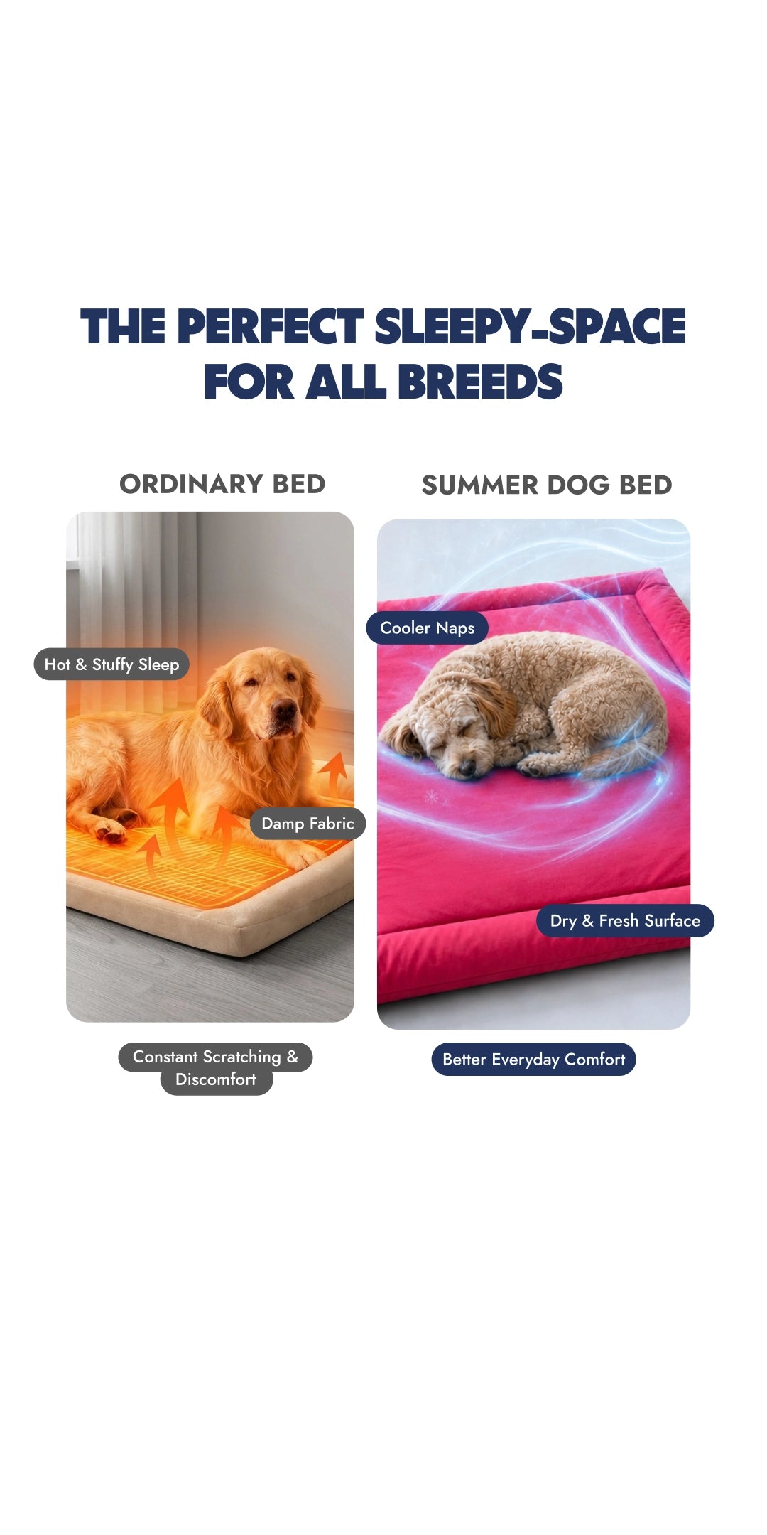 Red Bed